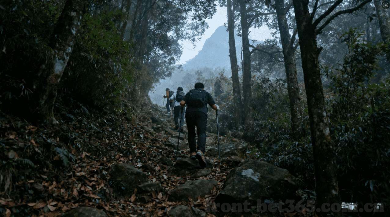 篮球世界杯买球官网-篮球世界杯买球官网，体验赛事激情，享受便捷购彩